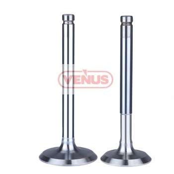 Engine_valve
